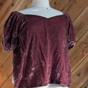 LOFT Crushed Velvet Puff Sleeve Blouse